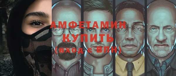 твердый Алексин