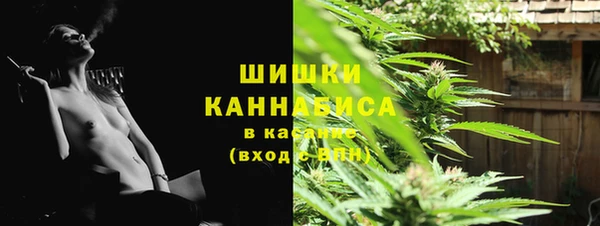 spice Арсеньев