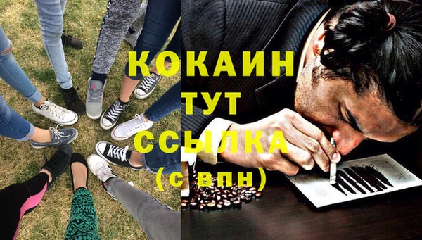 spice Арсеньев