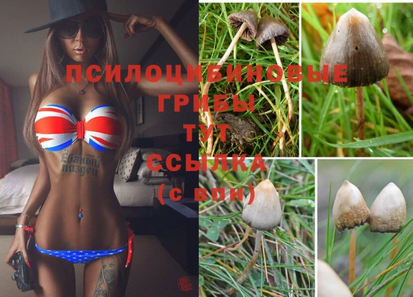 ALPHA PVP Армянск